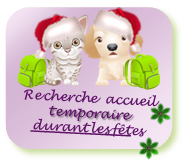 Cherche famille d'accueil